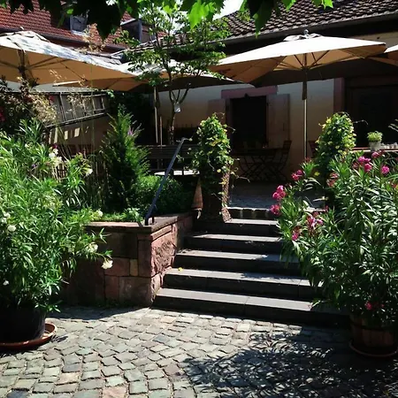 Alojamento de Acomodação e Pequeno-almoço L'ours Bischwiller