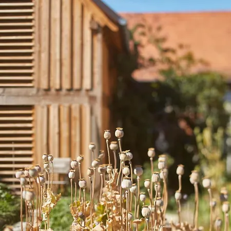 L'ours B&B Bischwiller