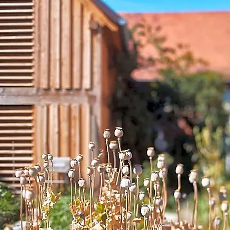 L'ours Bed & Breakfast