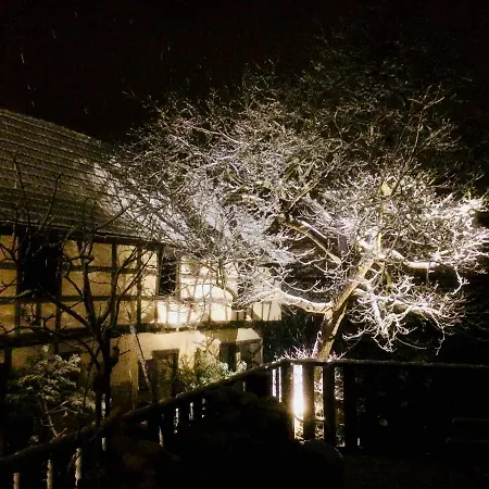 Alojamento de Acomodação e Pequeno-almoço L'ours Bischwiller