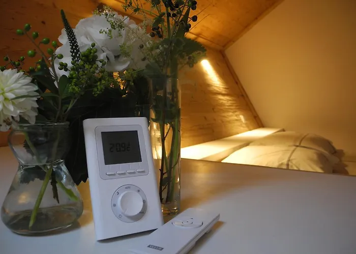 L'ours 3* Bischwiller